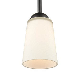 Ivey Lake One Light Mini Pendant (9801-MB)