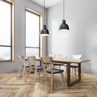 R Series One Light Pendant (RDBC10-SB)
