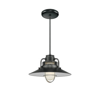 Millennium - RRRC14-SB - One Light Pendant - R Series - Satin Black