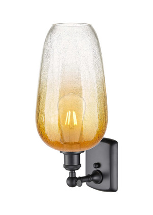 Ballston One Light Wall Sconce (516-1W-BK-G484-7AM)