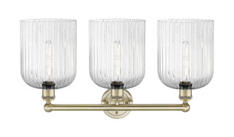 Edison Three Light Bath Vanity (616-3W-AB-G559-8SDY)