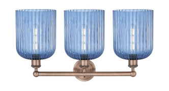 Edison Three Light Bath Vanity (616-3W-AC-G559-8BL)