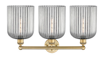 Edison Three Light Bath Vanity (616-3W-BB-G559-8SM)