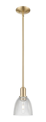 Innovations - 716-1S-CB-G382 - One Light Mini Pendant - Arcadia - Champagne Bronze