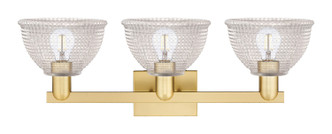 Arcadia Three Light Bath Vanity (716-3W-SG-G422)