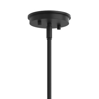 Reines Nine Light Chandelier (P400449-31M)