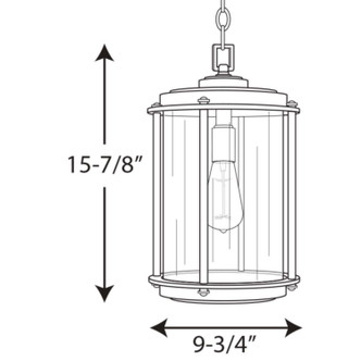Laine One Light Hanging Lantern (P550022-129)