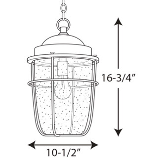 Holcombe One Light Hanging Lantern (P550025-031)