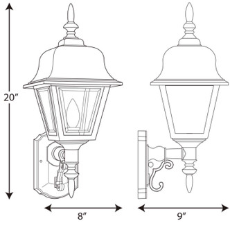 Non-Metallic Incandescent One Light Wall Lantern (P5656-31)