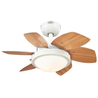 Quince 24"Ceiling Fan (7224700)