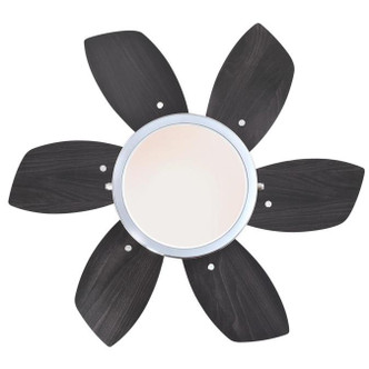Quince 24"Ceiling Fan (7236600)