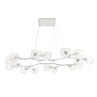 Mahowald 16 Light Chandelier (DLC53)