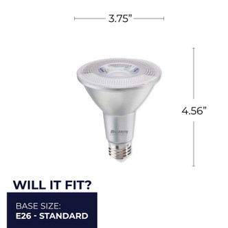 6 Light Bulb (772290)