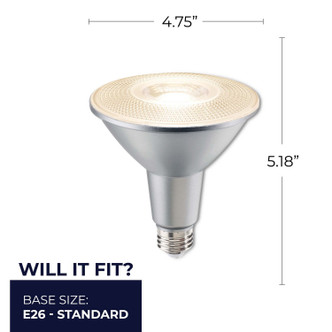 6 Light Bulb (772298)