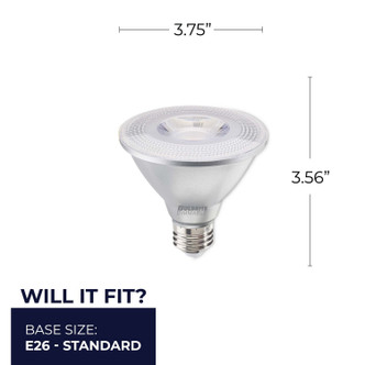 7 Light Bulb (772764)