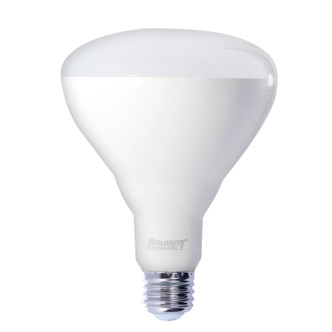 Bulbrite - 772877 - Reflector - Basic - Frost