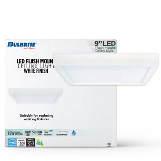 Builder Fixtures Flush Mount (773158)