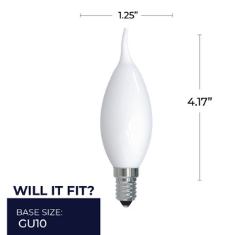 Preferred Light Bulb (776861)