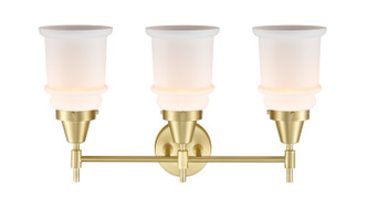 Three Light Bath Vanity (447-3W-SB-G181)