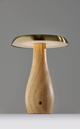 Naya LED Table Lamp (3196-12)