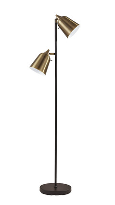 Adesso Home - 3237-01 - Two Light Floor Lamp - Malcolm - Matte Black & Antique Brass