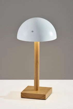 Nash LED Table Lamp (4065-02)