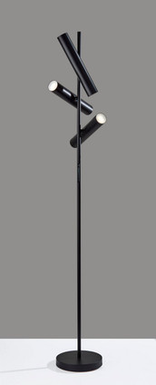 Greer LED Floor Lamp (4216-01)