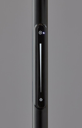 Greer LED Floor Lamp (4216-01)