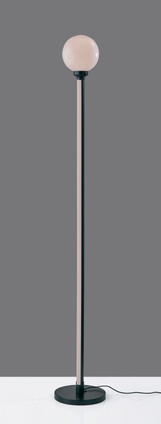 Astra LED Floor Lamp (SL0371-01)
