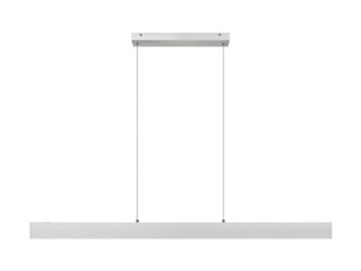 Hudson LED Linear Chandelier (1016-55L-BN-LED)