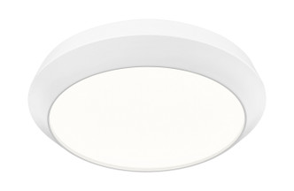 Quasars LED Flush Mount (7701F16-MW-LED)