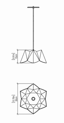 Physalis One Light Pendant (1299.34)
