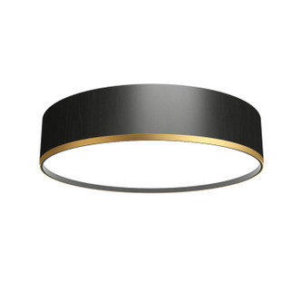 Accord Lighting - 5116LED.44 - LED Ceiling Mount - Cylindrical - Charcoal