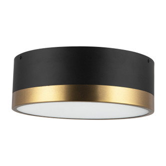 manufacturer_finish:Aged Gold/Matte Black