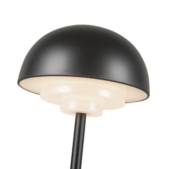 manufacturer_finish:Black