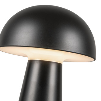manufacturer_finish:Black