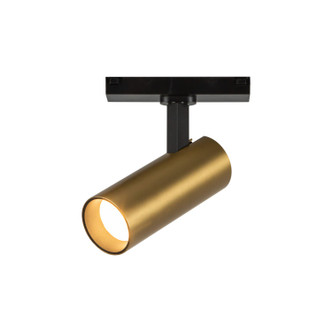 manufacturer_finish:Brushed Gold|color_temperature:3000K