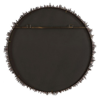 Tiger Sea Urchin Mirror (08373)