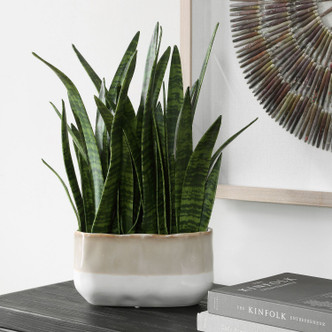 Uttermost - 60271 - Accent Plant - Sansera Snake - Beige And Tan