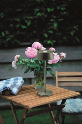 Sister Light LED Table Lamp (LD0300V3)