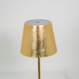Poldina Pro LED Table Lamp (LD0340BFO)
