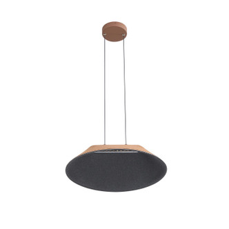 Faroe LED Pendant (3133-P21 CO-BK)