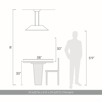 Faroe LED Pendant (3133-P30 CO-BK)