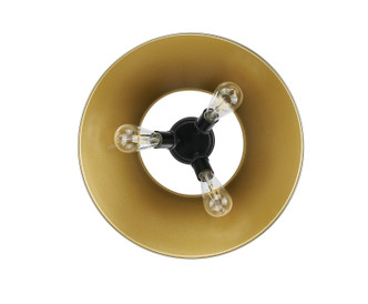 Orwell Three Light Flush Mount (3306-3FM BLK-AB)