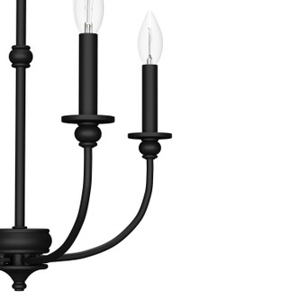 Southcrest Four Light Chandelier (19638)