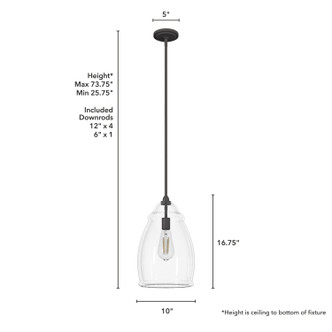 Dunshire One Light Pendant (19651)