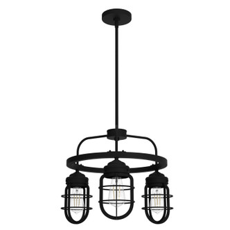 Hunter - 19665 - Three Light Chandelier - Starklake - Natural Black Iron