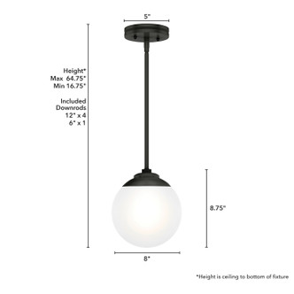 Hepburn One Light Pendant (19871)