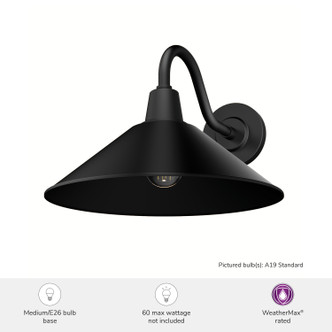 Skyflow One Light Outdoor Wall Mount (46020)