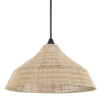 Hunter - 48080 - Three Light Pendant - Agoura - Matte Black